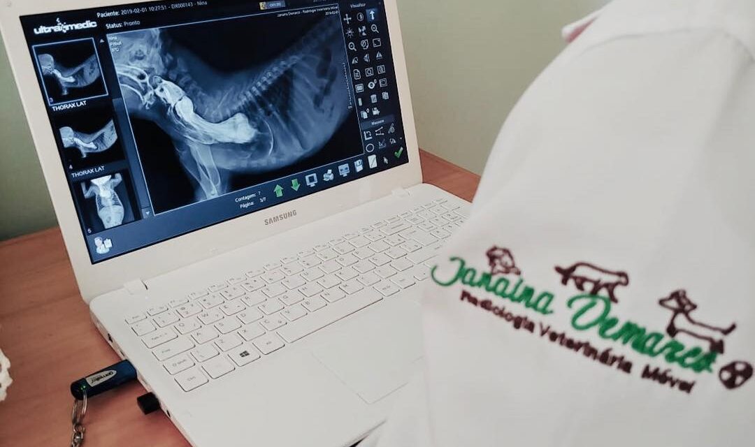 Telerradiologia: o que é, como funciona e quais são os benefícios para a medicina veterinária